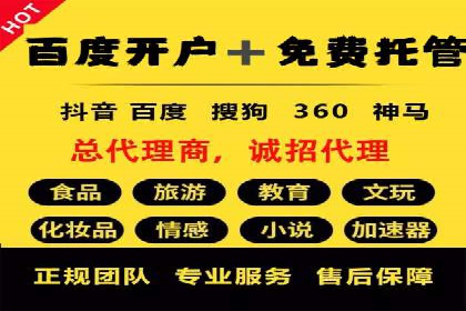 搜索引擎营销（SEM）成功案例详解